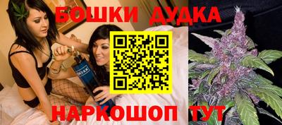 крисы Заводоуковск