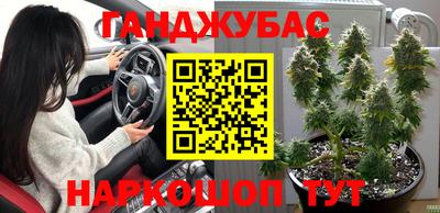 крисы Заводоуковск