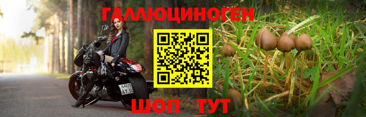 Псилоцибиновые грибы Cubensis Ликино-Дулёво