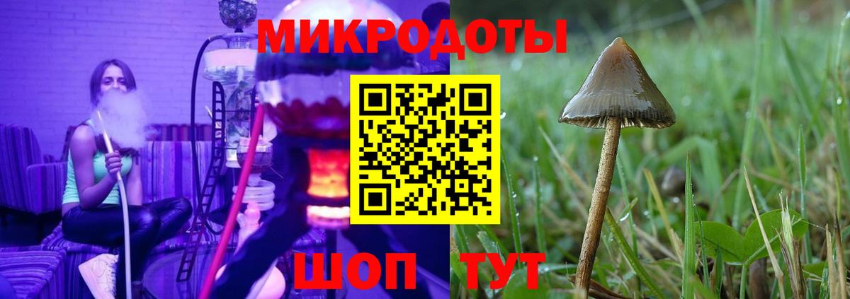 Псилоцибиновые грибы мицелий  Вход с VPN  Ликино-Дулёво  Галлюциногенные грибы мицелий 